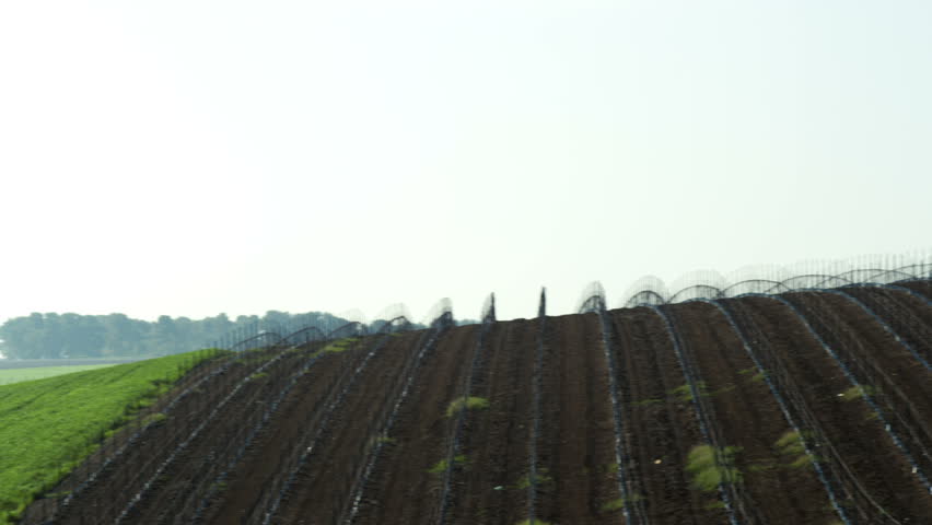 a lush green field in the foreground at the end of the shot,  in the Mount Tabor region of Israel.   02/23/2011 