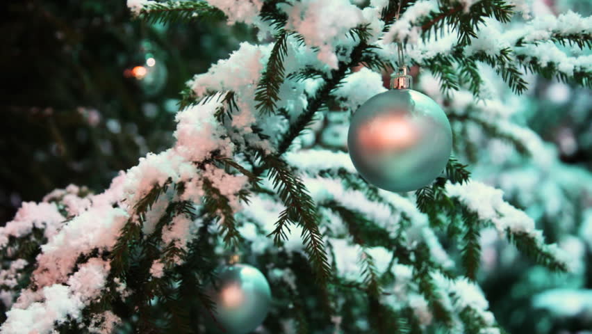 glass ball silver color hangs on snow covered fir in winter forest, gentle female hand touches it, closeup