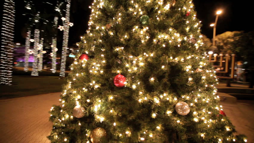MIAMI BEACH, FLORIDA - DECEMBER 07: Image stabilization footage of the Miami Beach City Hall Christmas Tree filled with lights, December 07, 2011, Miami Beach, Florida, United States.