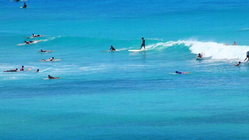 Surfers at Tropical Beach Paradise