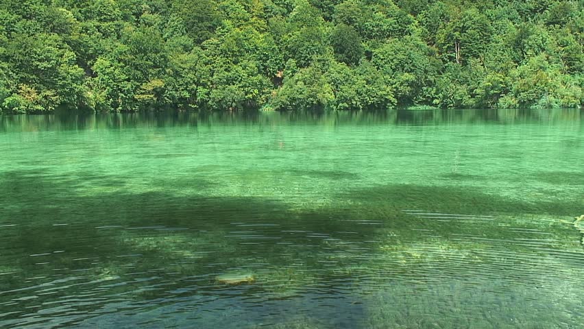 Clear Turquoise Forested Lake, Croatia
