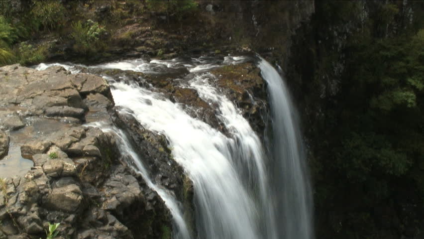 Waterfall surrounded by greenery