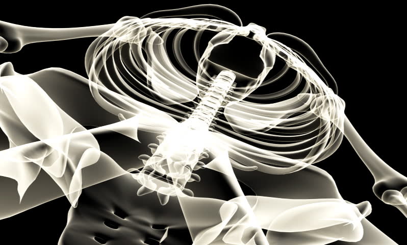footage of a human spine