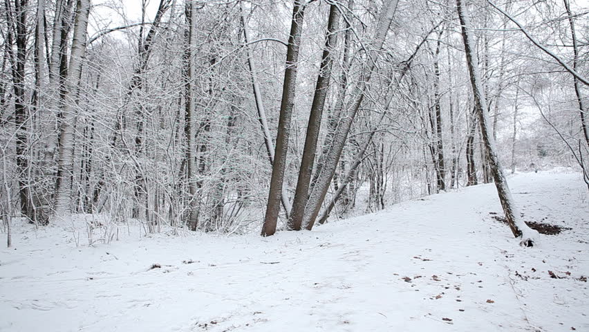 young woman walking with a baby carriage in winter park