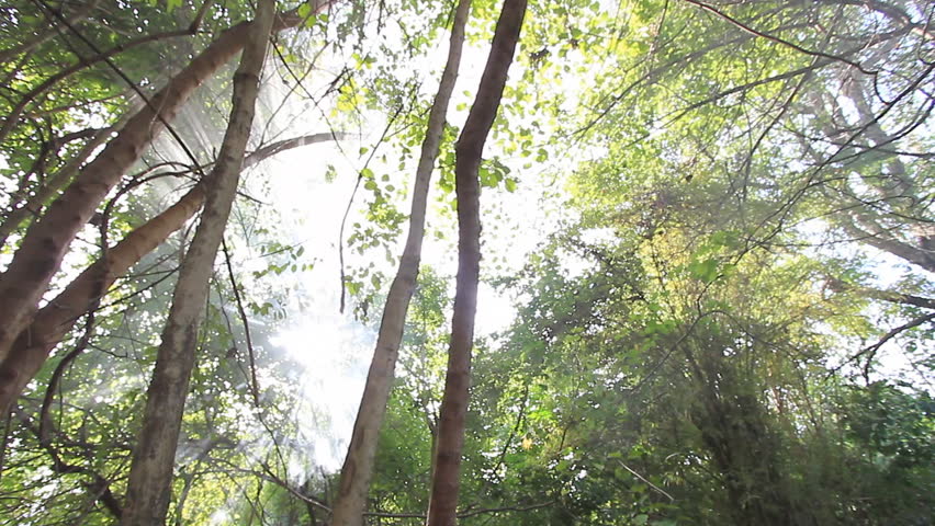 Dolly shock landscape of tropical Asia, Thailand