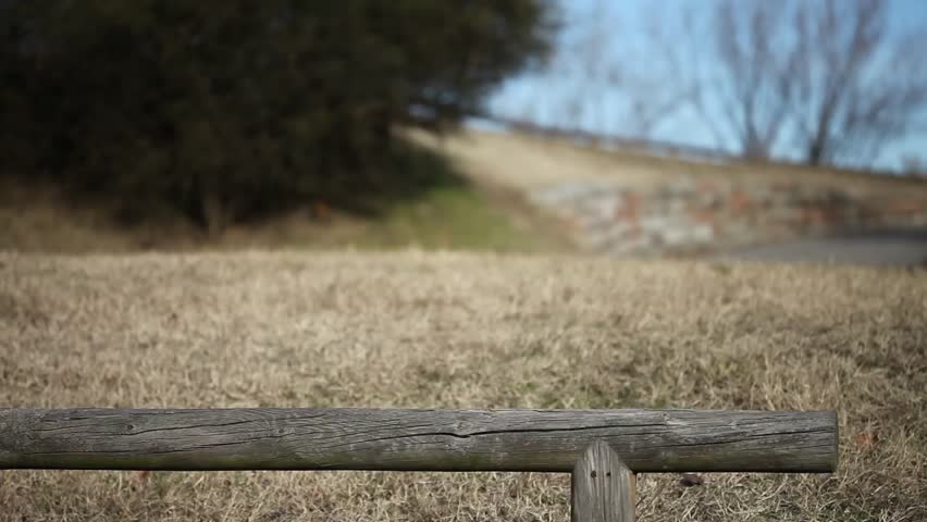 Woman walking on a plank in the park 