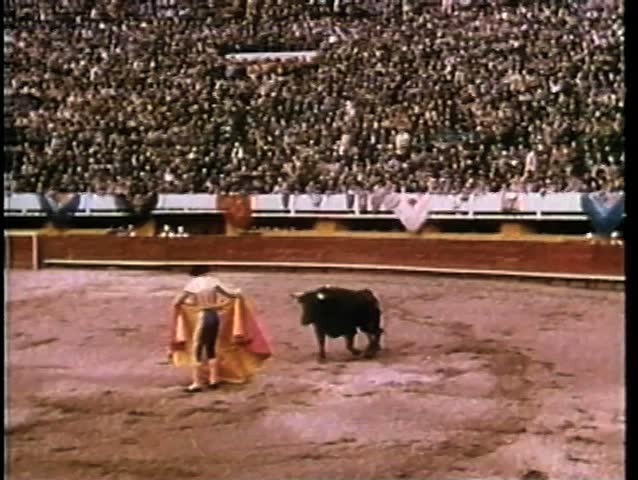 Montage - bullfight