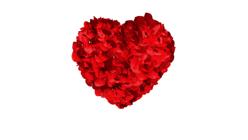 Heart of Rose Petals exploding, Alpha