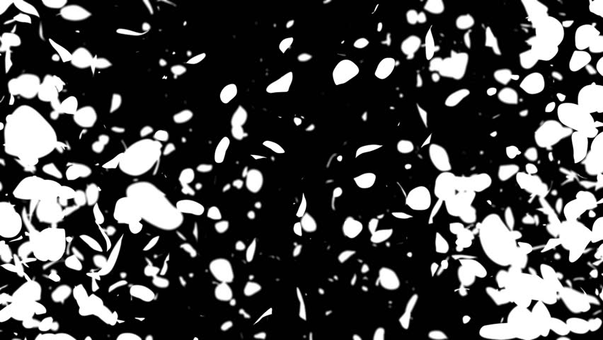 Heart of Rose Petals exploding, Alpha