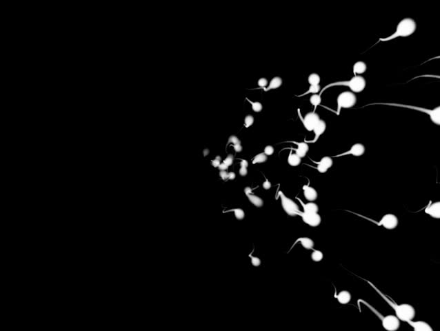 Frantically swimming sperm rush towards conception. See my gallery for more science related footage.