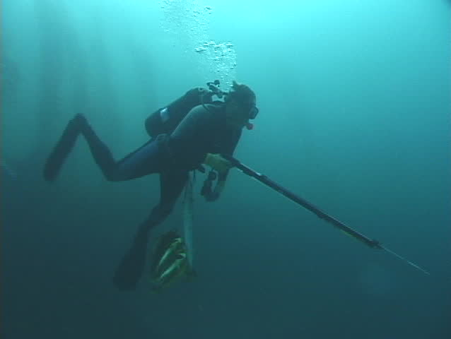 A diver with a spear gun swims underwater.