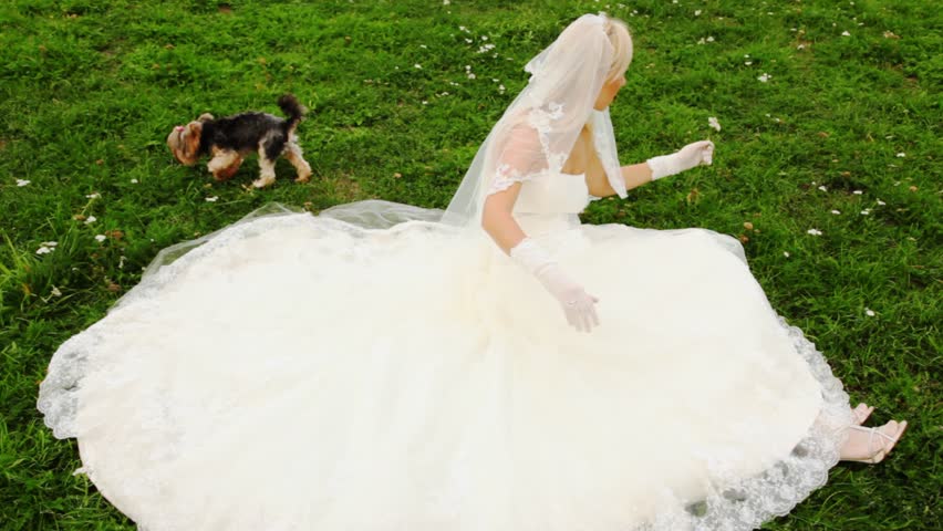 blonde in white wedding dress sits on lawn and plays floret with small doggie