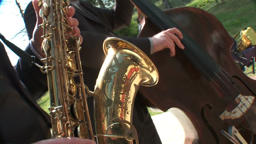 Musician