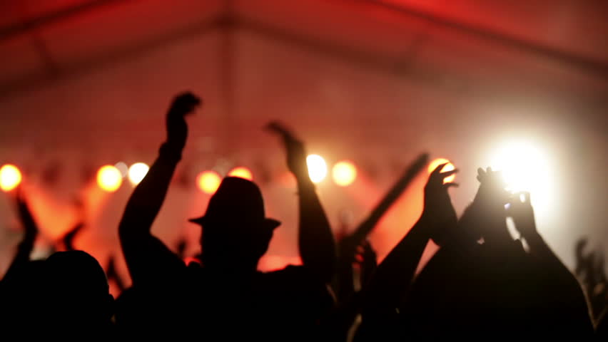 Footage of a crowd partying at a rock concert