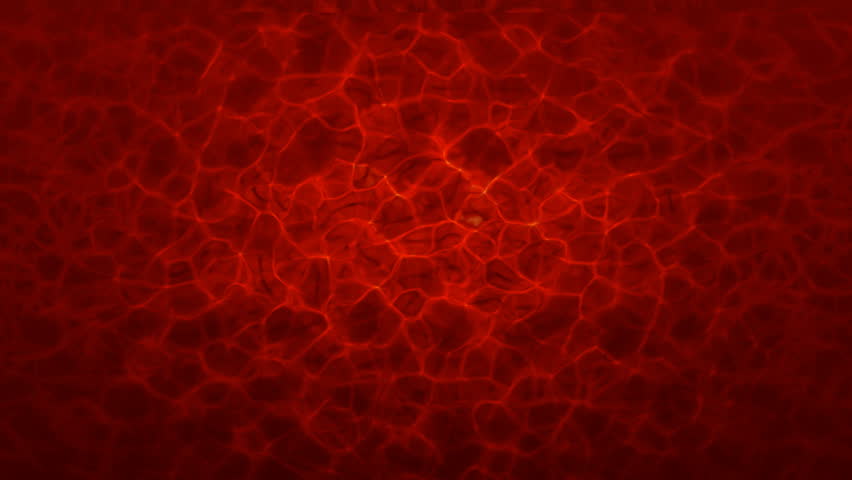 Red cell structure under microscope - Loopable background animation for home videos, vacation movies, business presentation and DVD or Blue-ray disc menues