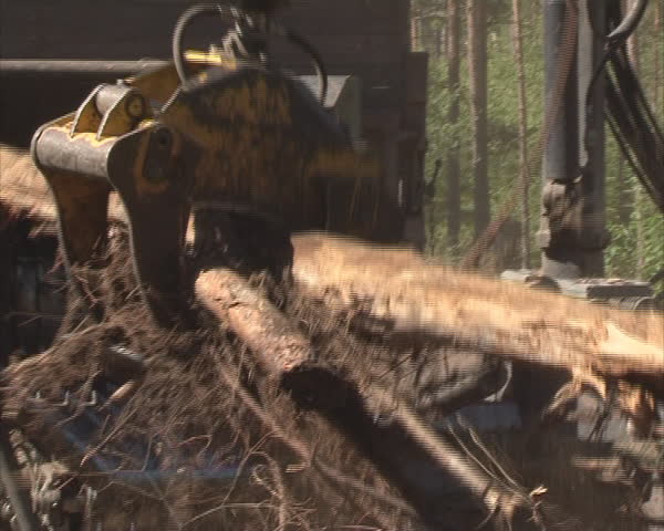 Special machinery carve tree branches. Environment friendly organic fuel production. 