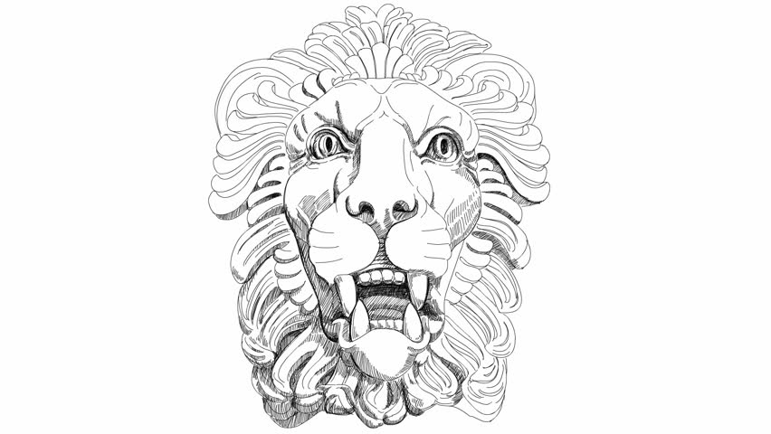 lion head drawing