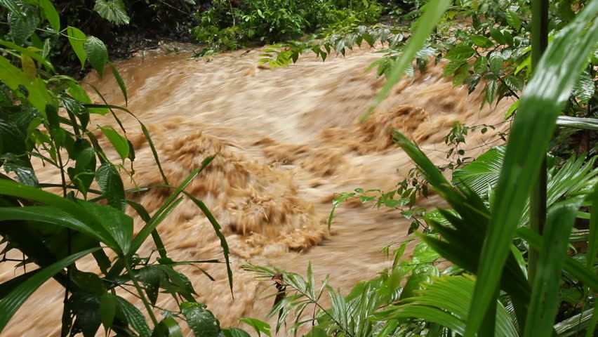 Mud and water pouring down a jungle watercourse after very heavy rain. On the Pacific coast of Ecuador.