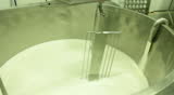 Blue cheese gouda Factory food process 