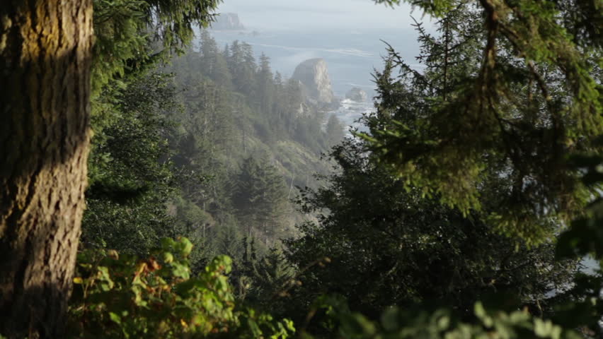 Hillside coastline
