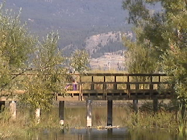 Hiker Bridge zoom