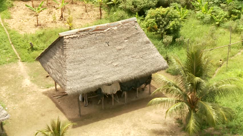 Rain Forest from Above with little Village