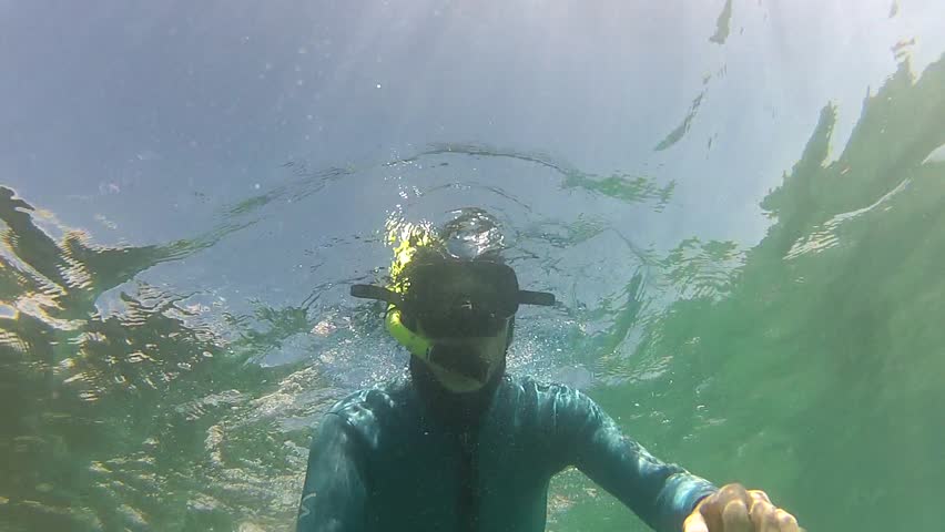Snorkeler filmed while half in the water in marine reserve Goat Island in New Zealand.