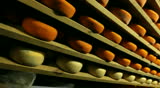 Blue cheese gouda Factory food process parmesan swiss dairy feta france milk
