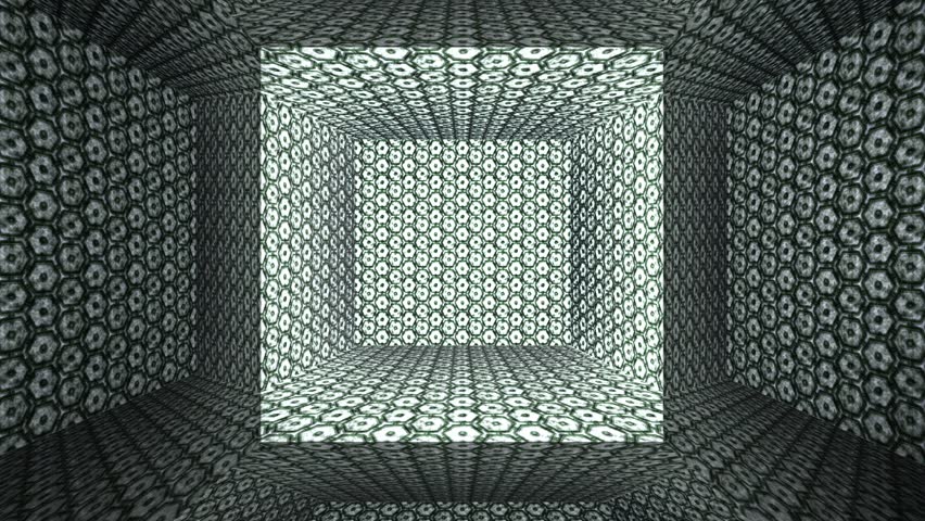 VIRAL ROOM