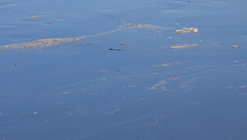 Polluted waters of a river