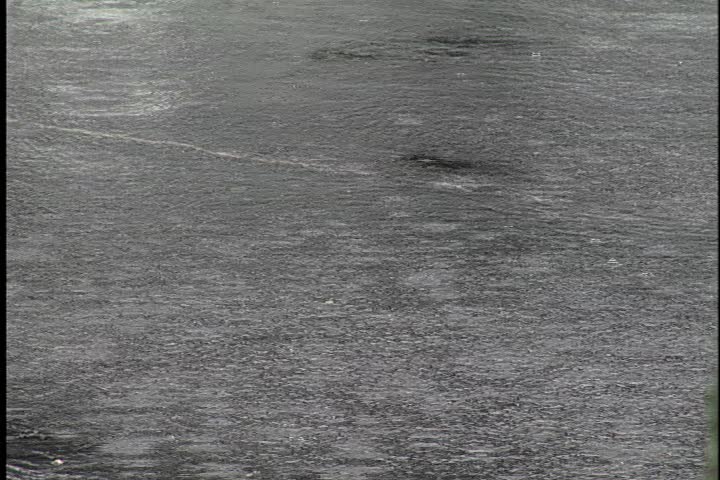 Rain drops in a puddle