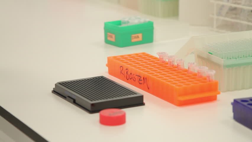 Scientist dropping liquid into vial in genetic laboratory
