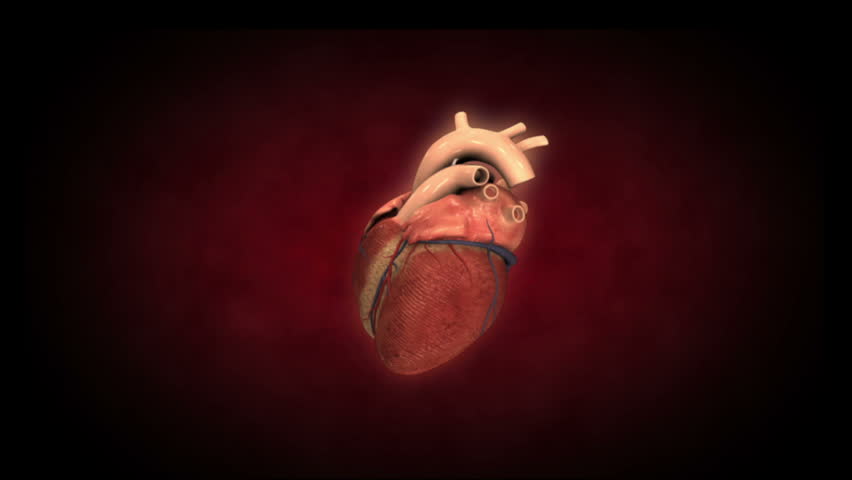 A heart beating at a faster speed