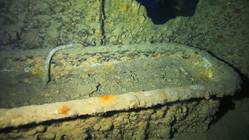 Bath at the captain cabin of the ship wreck