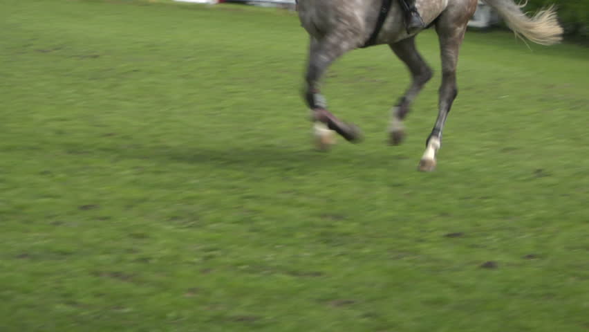 TRAVAGLIATO, ITALY - April 30: close up of a horse jumping during Travagliato Cavalli event on April 30, 2012 at Travagliato, Italy