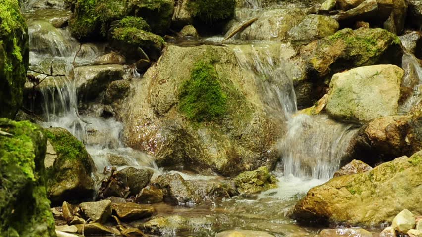 wild romantic creek