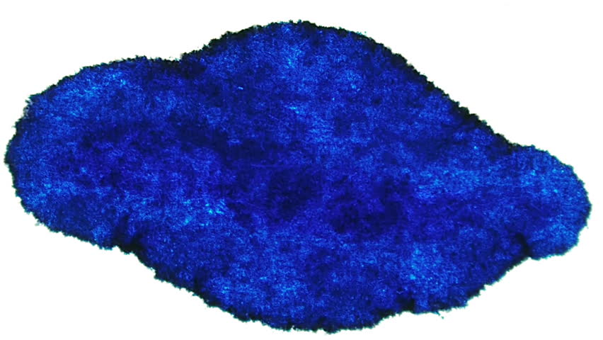 Blue Ink Stain Expansion (HD). Blue Ink Expands over time lapse on a white fiber surface. 