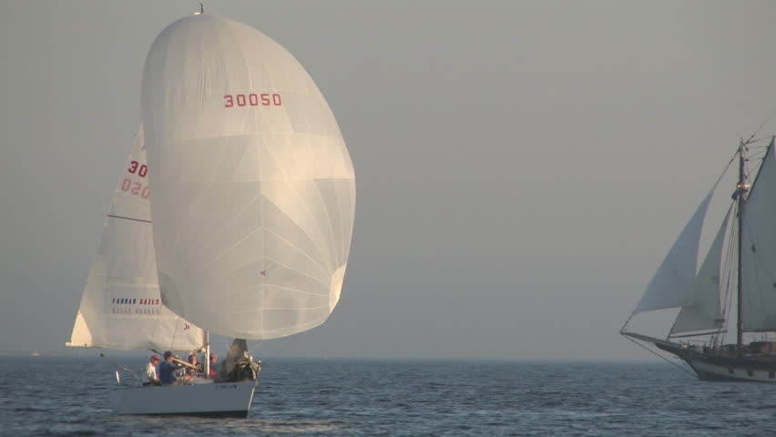 sailing boats cruising in the ocean