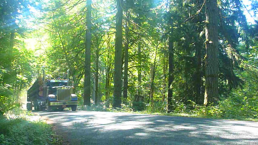 Logging truck drives with full load of timber through lush forest in Oregon.