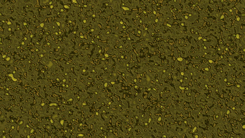 Infection Under Microscope
