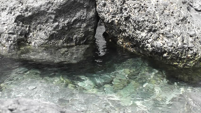 Mediterranean Sea 