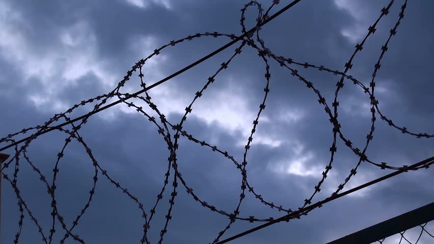 barbed wire