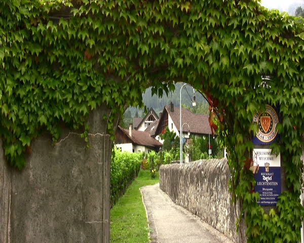 travel, landscape, europe, liechtenstein, city, wine, capital, viticulture, vineyard, sightseeing, 