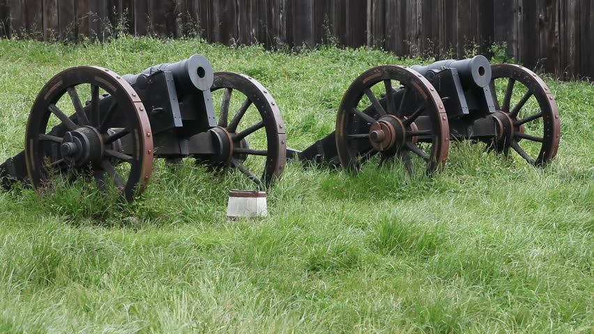 Antique guns
