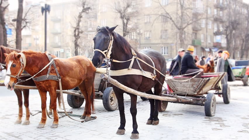 horses are harnessed to chariot within city, focusing on them