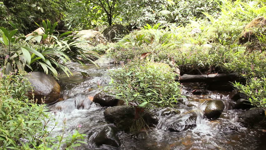 Boulder filled gully in the Choco Biogeographical Region in north-west Ecuador.