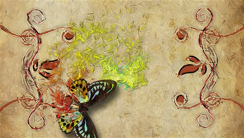 animated decorative painting background border with flying butterfly