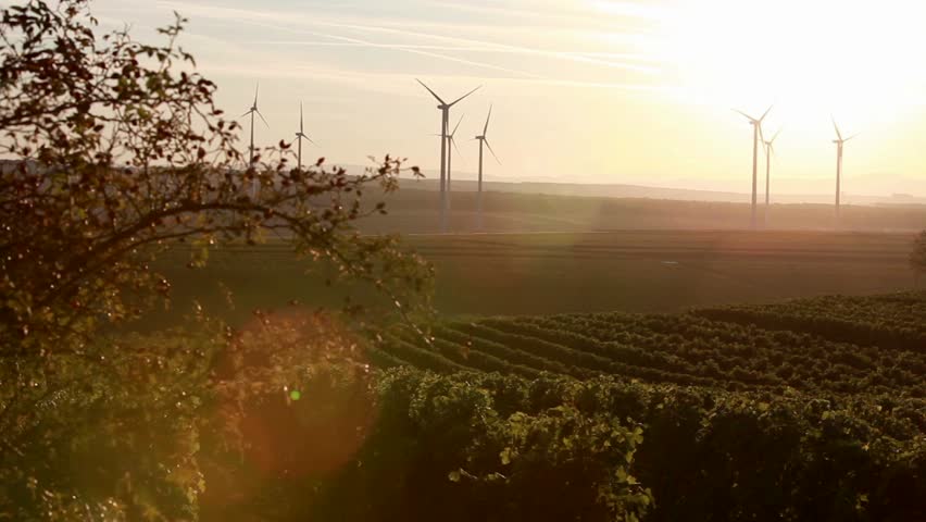 Vineyards and wind turbines in Deutschkreutz, Burgenland, Austria