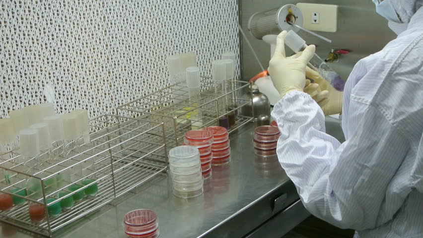 Biotechnology laboratory research tools in the hands in gloves.