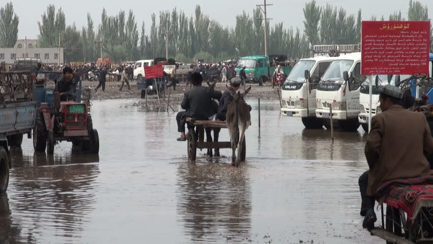 KASHGAR - SEPTEMBER 19 2010: People are driving donkey carts and tractors onto the Kashgar animal market after heavy rain